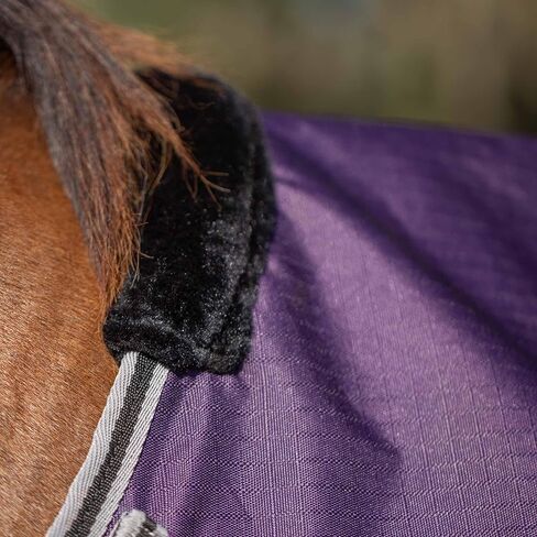 Equinavia Norse 200g Medium Weight Horse Blanket | Waterproof Winter Turnout - Black - 66 in - Black - 81 in in Saudi Arabia