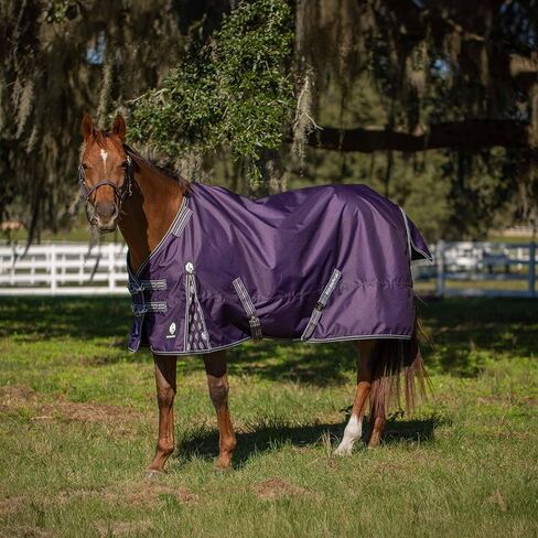 Equinavia Norse 200g Medium Weight Horse Blanket | Waterproof Winter Turnout - Black - 66 in - Black - 81 in in Saudi Arabia