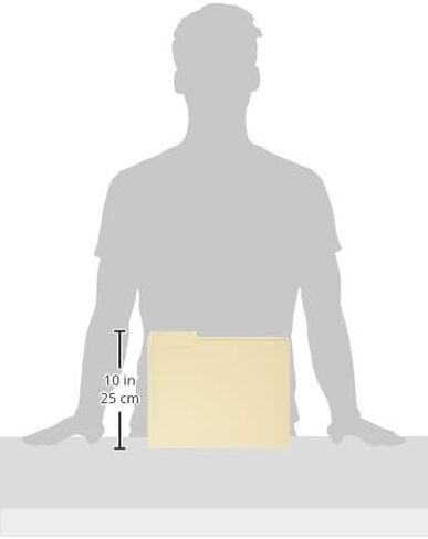 مصدر العمل 1/3 CUT TOP TAB FILES - مربع من 50 - مانيلا in Kuwait