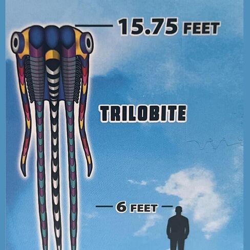 Airfoil Giant Nylon 3D Trilobite Kite - 15.75 قدم تصميم ثلاثي Trilobite | من السهل الطيران ، متعة في الهواء الطلق متينة للبالغين والمراهقين | طائرة ورقية ناعمة كبيرة مع ذيول طويلة in Kuwait