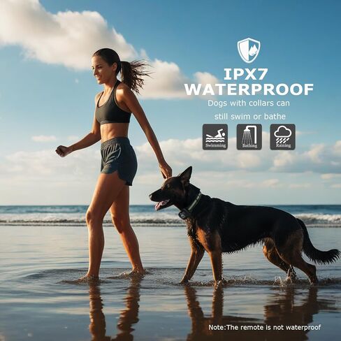 طوق Traning Dog - طوق صدمة 2600 قدم للكلاب مع التحكم عن بعد ، IPX7 مقاوم للماء 3 أوضاع (صوت/اهتزاز/صدمة) Ecollar ، قفل أمان للكلاب الصغيرة المتوسطة الكبيرة ، الأرجواني in Kuwait