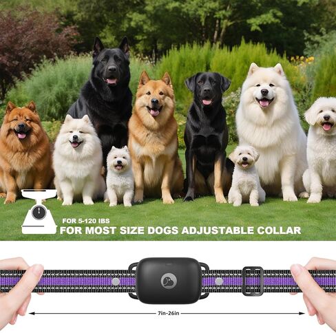 طوق Traning Dog - طوق صدمة 2600 قدم للكلاب مع التحكم عن بعد ، IPX7 مقاوم للماء 3 أوضاع (صوت/اهتزاز/صدمة) Ecollar ، قفل أمان للكلاب الصغيرة المتوسطة الكبيرة ، الأرجواني in Kuwait