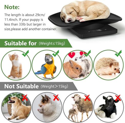 مقياس الحيوانات الأليفة الرقمي من LYTDMSKY، مستلزمات إنجاب الجراء حديثي الولادة، مقياس حيوانات صغير دقيق للجراء/القطط/الكلاب/القطط/القنفذ، مقياس LCD متعدد الوظائف مع شريط قياس، بحد أقصى 22 رطل in Kuwait