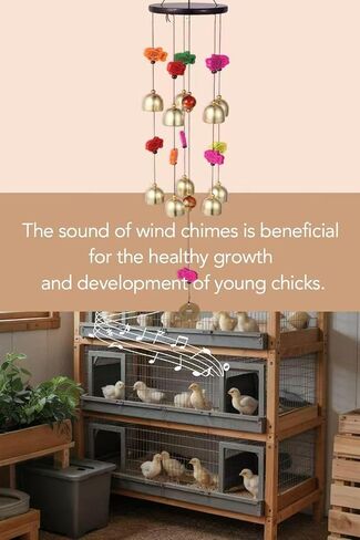 Chicken Toys for Coop,Cute Hanging Chickens Enrichment Toys Decor for Chicken Coop,Wind Chime Toys with Colorful Bells for Hens Chicks Poultry Birds Parrots,Duck in Saudi Arabia