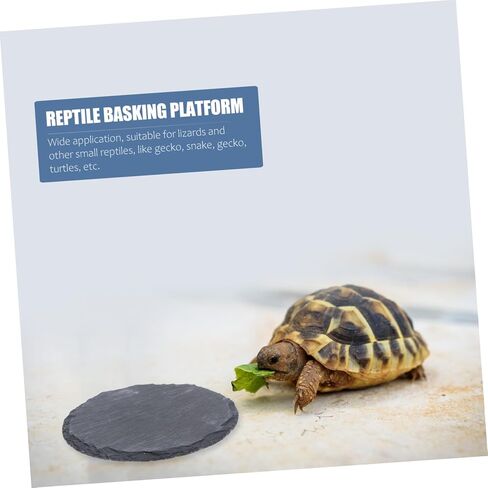 2Pcs Natural Stone Basking Platform for Reptiles Lizard Turtle Gecko Snake Feeding Dish Design for Habitat Decoration and Daily Use in Saudi Arabia