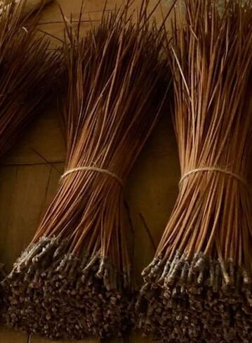 Long Leaf Pine Needles for Crafts (10) Ounces in Saudi Arabia