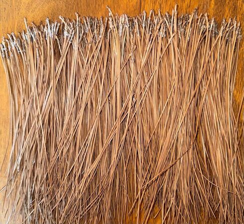 Long Leaf Pine Needles for Crafts (10) Ounces in Saudi Arabia