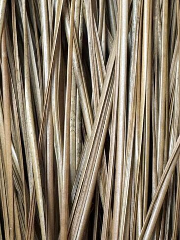 Long Leaf Pine Needles for Crafts (10) Ounces in Saudi Arabia