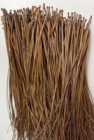 Long Leaf Pine Needles for Crafts (10) Ounces in Saudi Arabia