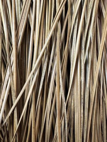 Long Leaf Pine Needles for Crafts (10) Ounces in Saudi Arabia