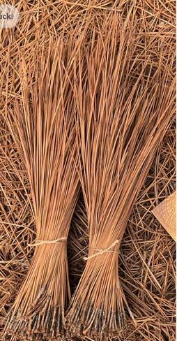 Long Leaf Pine Needles for Crafts (10) Ounces in Saudi Arabia