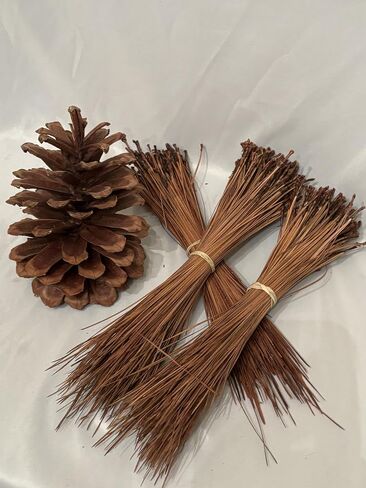 Long Leaf Pine Needles for Crafts (10) Ounces in Saudi Arabia