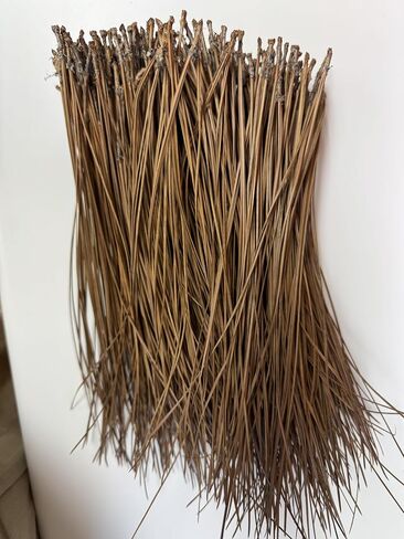 Long Leaf Pine Needles for Crafts (10) Ounces in Saudi Arabia