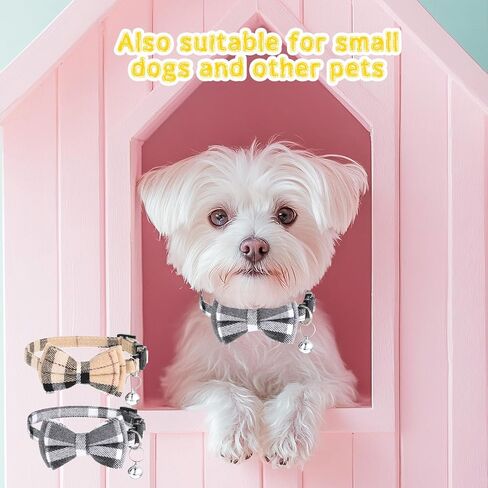 2 PCS Cat Cat Twhible مع أجراس كات طوق الانفصال اللطيف بوتي بلود الياقات مع إكسسوارات هريرة قابلة للتعديل ناعمة للقطط الداخلية والحيوانات الأليفة الصغيرة in Saudi Arabia