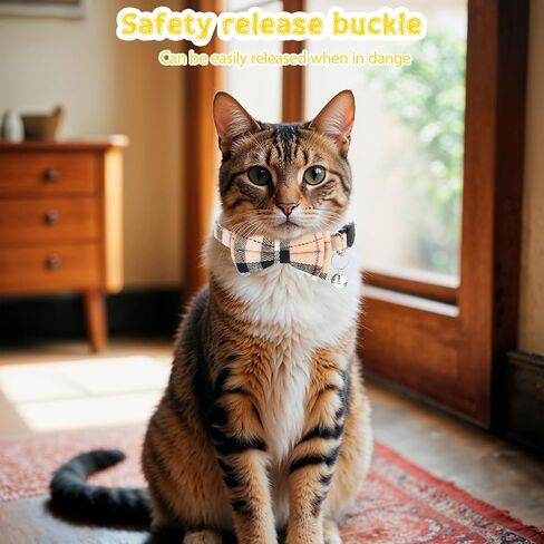 2 PCS Cat Cat Twhible مع أجراس كات طوق الانفصال اللطيف بوتي بلود الياقات مع إكسسوارات هريرة قابلة للتعديل ناعمة للقطط الداخلية والحيوانات الأليفة الصغيرة in Saudi Arabia