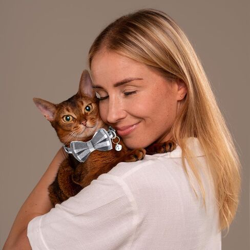 2 PCS Cat Cat Twhible مع أجراس كات طوق الانفصال اللطيف بوتي بلود الياقات مع إكسسوارات هريرة قابلة للتعديل ناعمة للقطط الداخلية والحيوانات الأليفة الصغيرة in Saudi Arabia