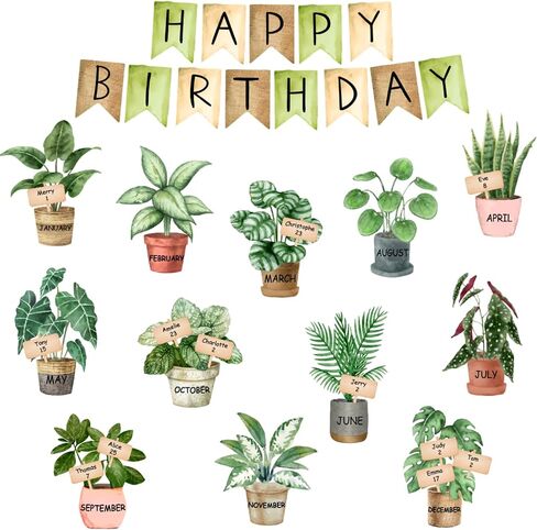 65 PCS Greenery Greenery Birthday Bulletin Board Decoration مجموعة ألوان مائية محفوظة بوعاء القطع مرة أخرى in Saudi Arabia
