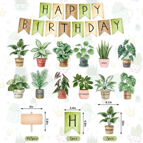 65 PCS Greenery Greenery Birthday Bulletin Board Decoration مجموعة ألوان مائية محفوظة بوعاء القطع مرة أخرى in Saudi Arabia