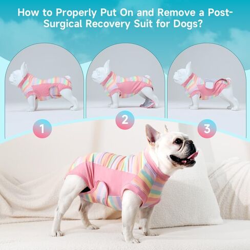 Recovery Suit for Dogs After Surgery – Breathable Dog Onesie Cone Alternative, Anti-Licking Surgical Suit for Spay Neuter Wounds, Comfortable E-Collar Replacement for Male & Female Dogs in Saudi Arabia
