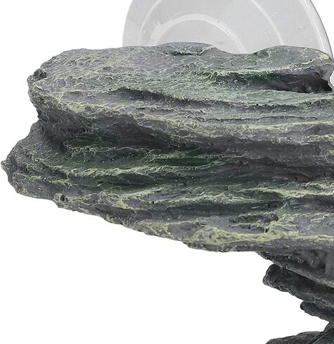 منصة تسلق السلحفاة Yuyte الزواحف المنحدر راتنجات الرصيف لسلاحف السحالي مع كأس الشفط LifeLike Rock Rock Ornament in Saudi Arabia