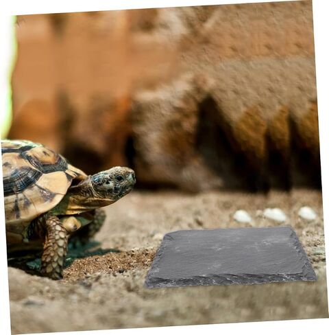 2pcs Basking Platform for Tortoise and Reptiles Sturdy Feeding Dish and Basking Rock for Aquatic Turtles Bearded Dragons and Lizards for Terrarium and Habitat Decor in Saudi Arabia