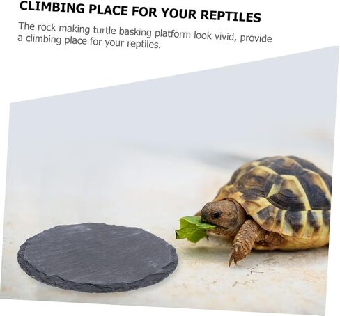2pcs Basking Platform for Tortoise and Reptiles Sturdy Feeding Dish and Basking Rock for Aquatic Turtles Bearded Dragons and Lizards for Terrarium and Habitat Decor in Saudi Arabia