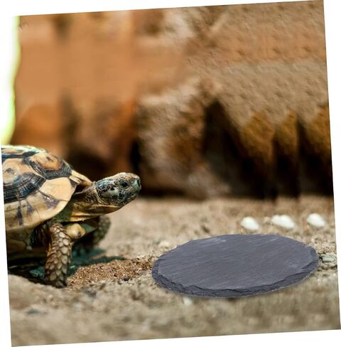 2pcs Basking Platform for Tortoise and Reptiles Sturdy Feeding Dish and Basking Rock for Aquatic Turtles Bearded Dragons and Lizards for Terrarium and Habitat Decor in Saudi Arabia