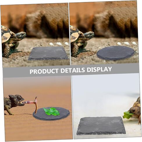 2pcs Basking Platform for Tortoise and Reptiles Sturdy Feeding Dish and Basking Rock for Aquatic Turtles Bearded Dragons and Lizards for Terrarium and Habitat Decor in Saudi Arabia
