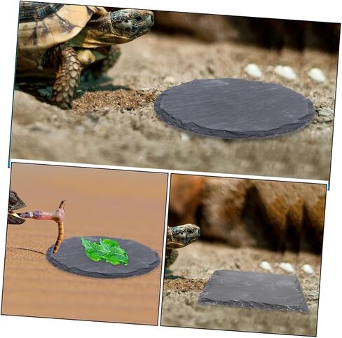 2pcs Basking Platform for Tortoise and Reptiles Sturdy Feeding Dish and Basking Rock for Aquatic Turtles Bearded Dragons and Lizards for Terrarium and Habitat Decor in Saudi Arabia