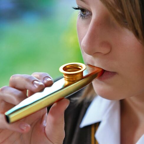 6 PCS Metal Kazoos with 8 PCS Spare Diaphragms - Premium Kazoos Musical Instruments for Adults & Kids, A Good Companion for Ukulele, Violin, Guitar,Piano Keyboard, Perfect for Parties, Music Lovers in Saudi Arabia