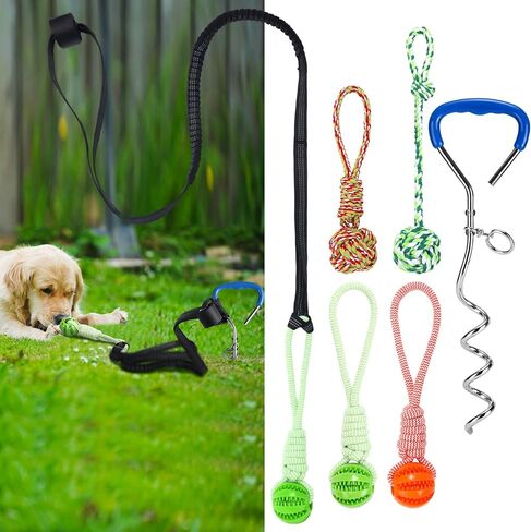 6 PCS Dog Bungee Tug Toys with Stakes Dog Tug of War Toys مجموعة مضغ في الهواء الطلق وربط الحبل اللوازم التفاعلية للداخلية في الهواء الطلق أشجار أشجار كبيرة متوسطة صغيرة صغيرة in Kuwait