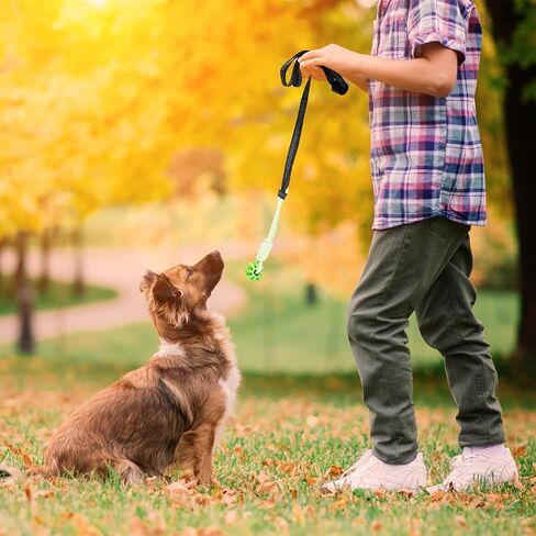 6 PCS Dog Bungee Tug Toys with Stakes Dog Tug of War Toys مجموعة مضغ في الهواء الطلق وربط الحبل اللوازم التفاعلية للداخلية في الهواء الطلق أشجار أشجار كبيرة متوسطة صغيرة صغيرة in Kuwait