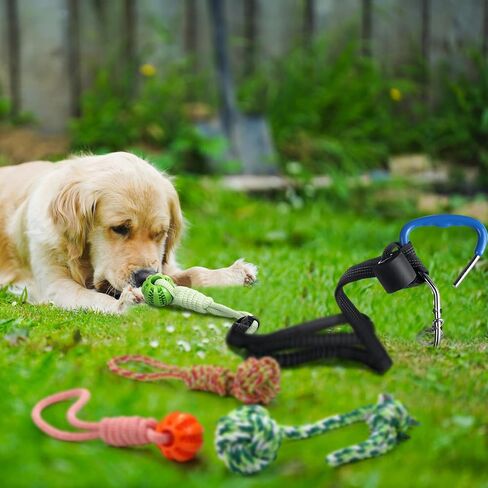 6 PCS Dog Bungee Tug Toys with Stakes Dog Tug of War Toys مجموعة مضغ في الهواء الطلق وربط الحبل اللوازم التفاعلية للداخلية في الهواء الطلق أشجار أشجار كبيرة متوسطة صغيرة صغيرة in Kuwait