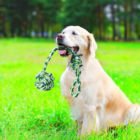 6 PCS Dog Bungee Tug Toys with Stakes Dog Tug of War Toys مجموعة مضغ في الهواء الطلق وربط الحبل اللوازم التفاعلية للداخلية في الهواء الطلق أشجار أشجار كبيرة متوسطة صغيرة صغيرة in Kuwait