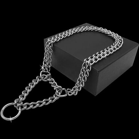 Silver Dog Choker Collar,Metal Slip Link Martingale Collar Training Double Row Chain Heavy Duty (Silver, L(Neck Max 23inch)) in Saudi Arabia