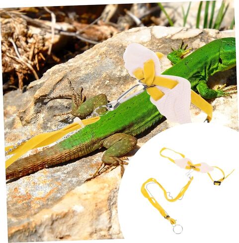 UPKOCH Outdoor Lizard Harness Rope Durable Pet Traction Leash for Lizards Geckos Reptiles Lightweight Design for Outdoor Adventures in Saudi Arabia