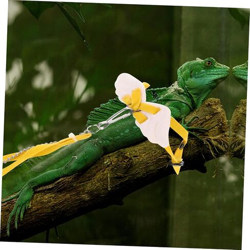 UPKOCH Outdoor Lizard Harness Rope Durable Pet Traction Leash for Lizards Geckos Reptiles Lightweight Design for Outdoor Adventures in Saudi Arabia