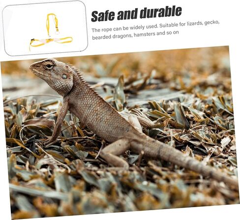 UPKOCH Outdoor Lizard Harness Rope Durable Pet Traction Leash for Lizards Geckos Reptiles Lightweight Design for Outdoor Adventures in Saudi Arabia