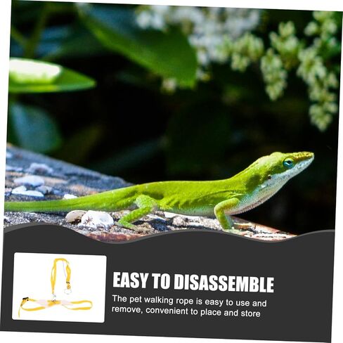 UPKOCH Outdoor Lizard Harness Rope Durable Pet Traction Leash for Lizards Geckos Reptiles Lightweight Design for Outdoor Adventures in Saudi Arabia