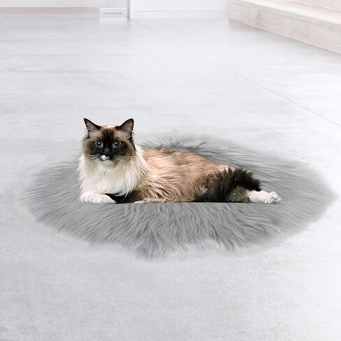 Cat Electric Blanket Comfortable for Cat Dog in The Winter USB Interface (White Mink) in Saudi Arabia