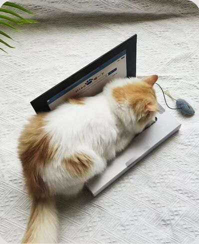 Cardboard Cat Scratcher,Laptop Scratcher Cat Toy with Interactive Mouse Cat Teaser,Laptop Cat Toy,Foldable Corrugated Cardboard Cat Scratching Board in Saudi Arabia