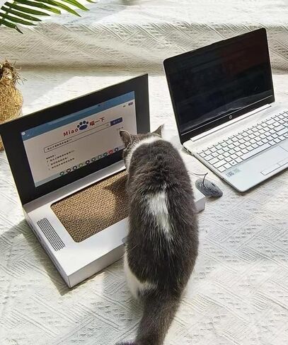 Cardboard Cat Scratcher,Laptop Scratcher Cat Toy with Interactive Mouse Cat Teaser,Laptop Cat Toy,Foldable Corrugated Cardboard Cat Scratching Board in Saudi Arabia