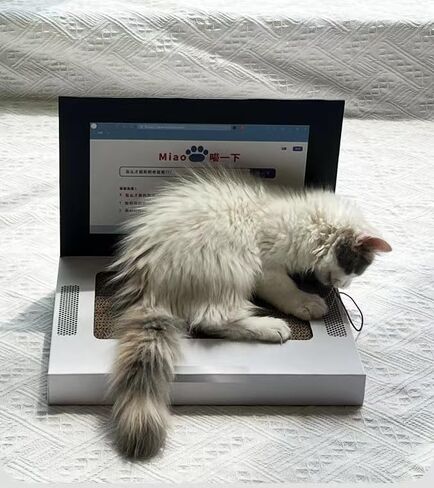 Cardboard Cat Scratcher,Laptop Scratcher Cat Toy with Interactive Mouse Cat Teaser,Laptop Cat Toy,Foldable Corrugated Cardboard Cat Scratching Board in Saudi Arabia