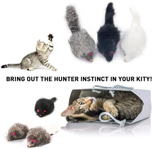 تلعب لعبة Pawstrip Rabbit Fur Cat Mouse Toy Cat Mouse مع ألعاب فئران قاسية من الفئران المزيفة للقطط الداخلية فئران الفئران القطة غامضة ألعاب القطط الفئر in Kuwait