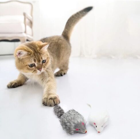 تلعب لعبة Pawstrip Rabbit Fur Cat Mouse Toy Cat Mouse مع ألعاب فئران قاسية من الفئران المزيفة للقطط الداخلية فئران الفئران القطة غامضة ألعاب القطط الفئر in Kuwait
