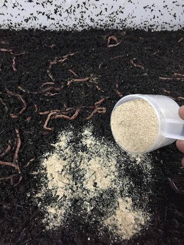 NightCrawlers, Superworms, Red Wigglers, Compost & Bait Worm Food, 2 Lbs (2 Lbs) in Saudi Arabia