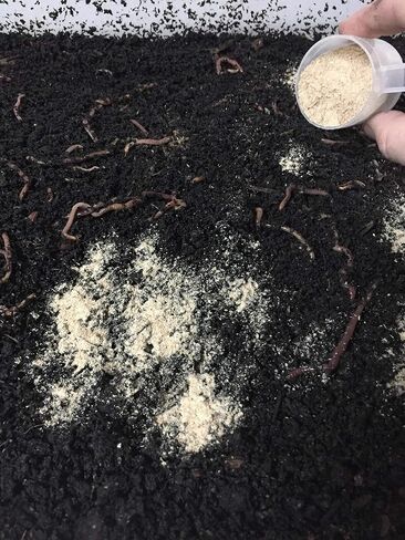 NightCrawlers, Superworms, Red Wigglers, Compost & Bait Worm Food, 2 Lbs (2 Lbs) in Saudi Arabia