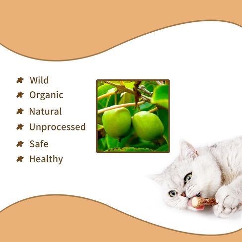 [15pcs عصي Silvervine للقطط ، Matatabi Cat Cats ، ألعاب Catnip ، عصي الأسنان الخشبية للقطط الداخلية ، Kitty ، Hitten Beadtive Wand Toys in Kuwait