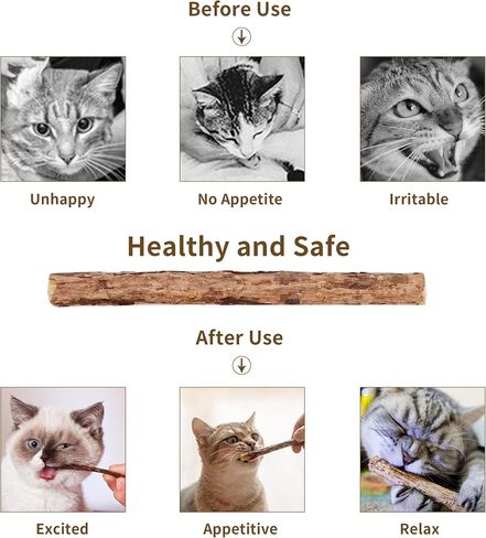 [15pcs عصي Silvervine للقطط ، Matatabi Cat Cats ، ألعاب Catnip ، عصي الأسنان الخشبية للقطط الداخلية ، Kitty ، Hitten Beadtive Wand Toys in Kuwait
