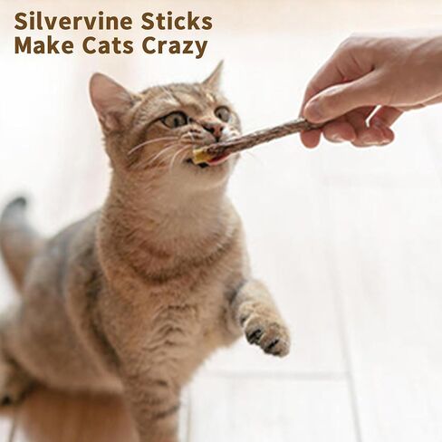 [15pcs عصي Silvervine للقطط ، Matatabi Cat Cats ، ألعاب Catnip ، عصي الأسنان الخشبية للقطط الداخلية ، Kitty ، Hitten Beadtive Wand Toys in Kuwait